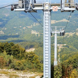 Morbi facilisis ut est nec volutpat