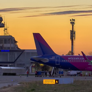 Cras sagittis tellus ut est malesuada